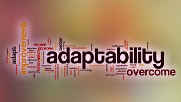 Why Adaptability Is the New Competitive Advantage