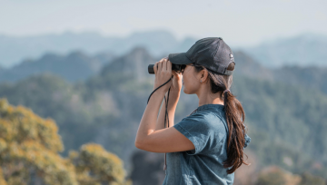 How Scientific Observation Shapes Better Decision-Making